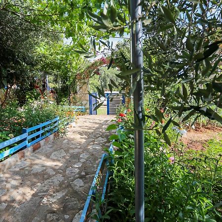 Holiwood Μοτέλ Χειμάρρα Εξωτερικό φωτογραφία