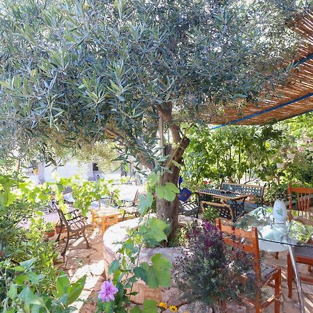 Holiwood Μοτέλ Χειμάρρα Εξωτερικό φωτογραφία