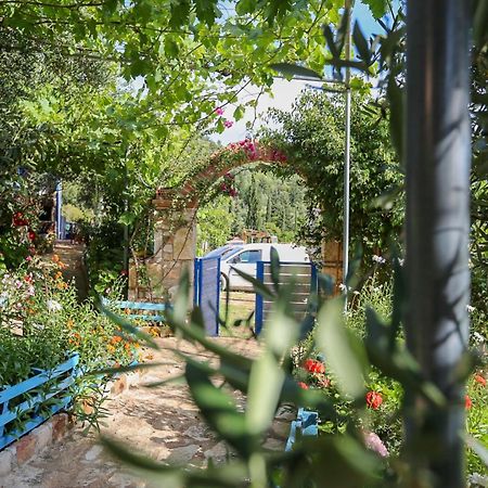 Holiwood Μοτέλ Χειμάρρα Εξωτερικό φωτογραφία