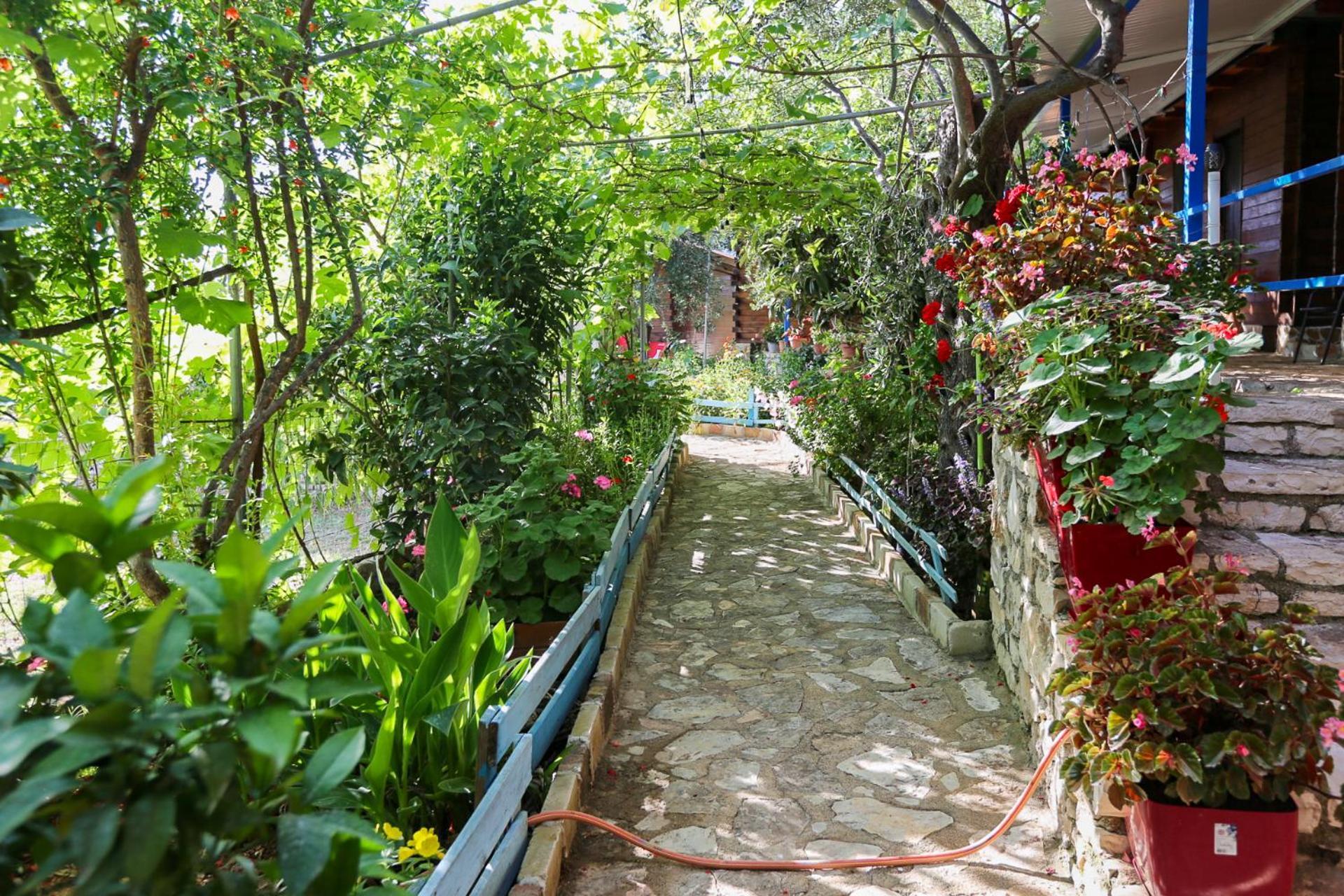 Holiwood Μοτέλ Χειμάρρα Εξωτερικό φωτογραφία