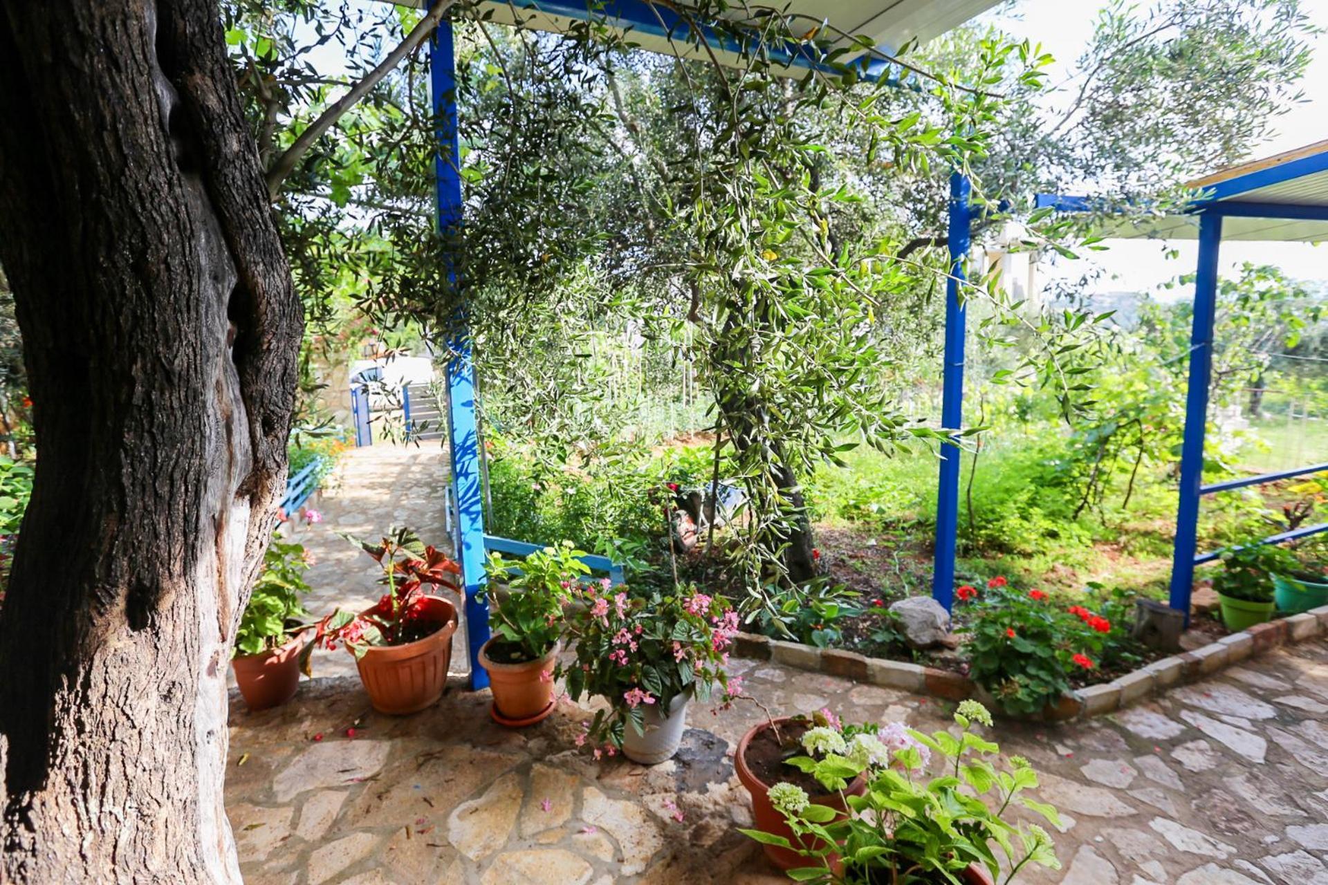 Holiwood Μοτέλ Χειμάρρα Εξωτερικό φωτογραφία