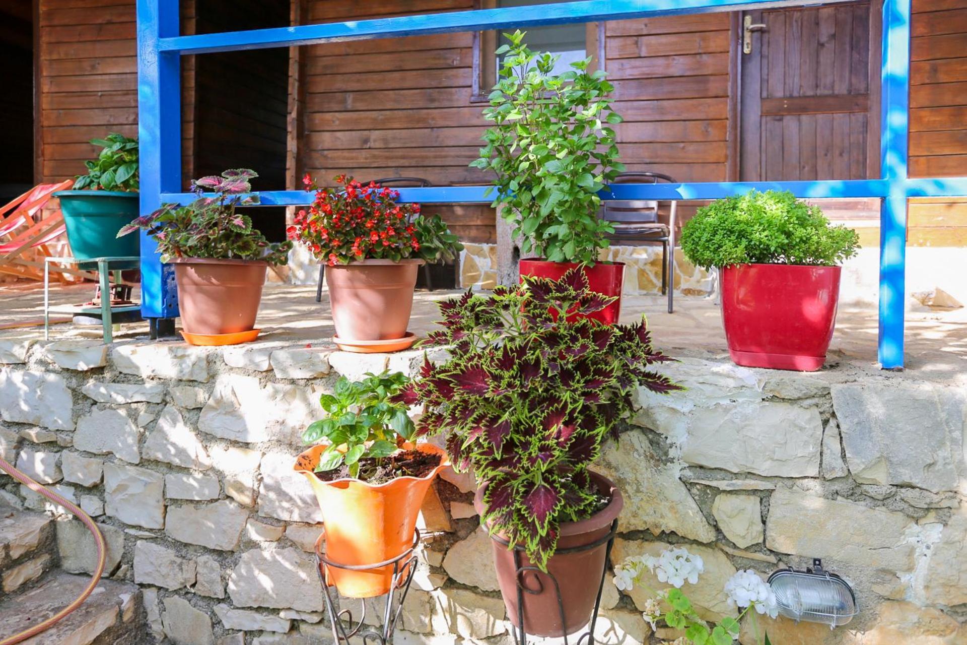 Holiwood Μοτέλ Χειμάρρα Εξωτερικό φωτογραφία