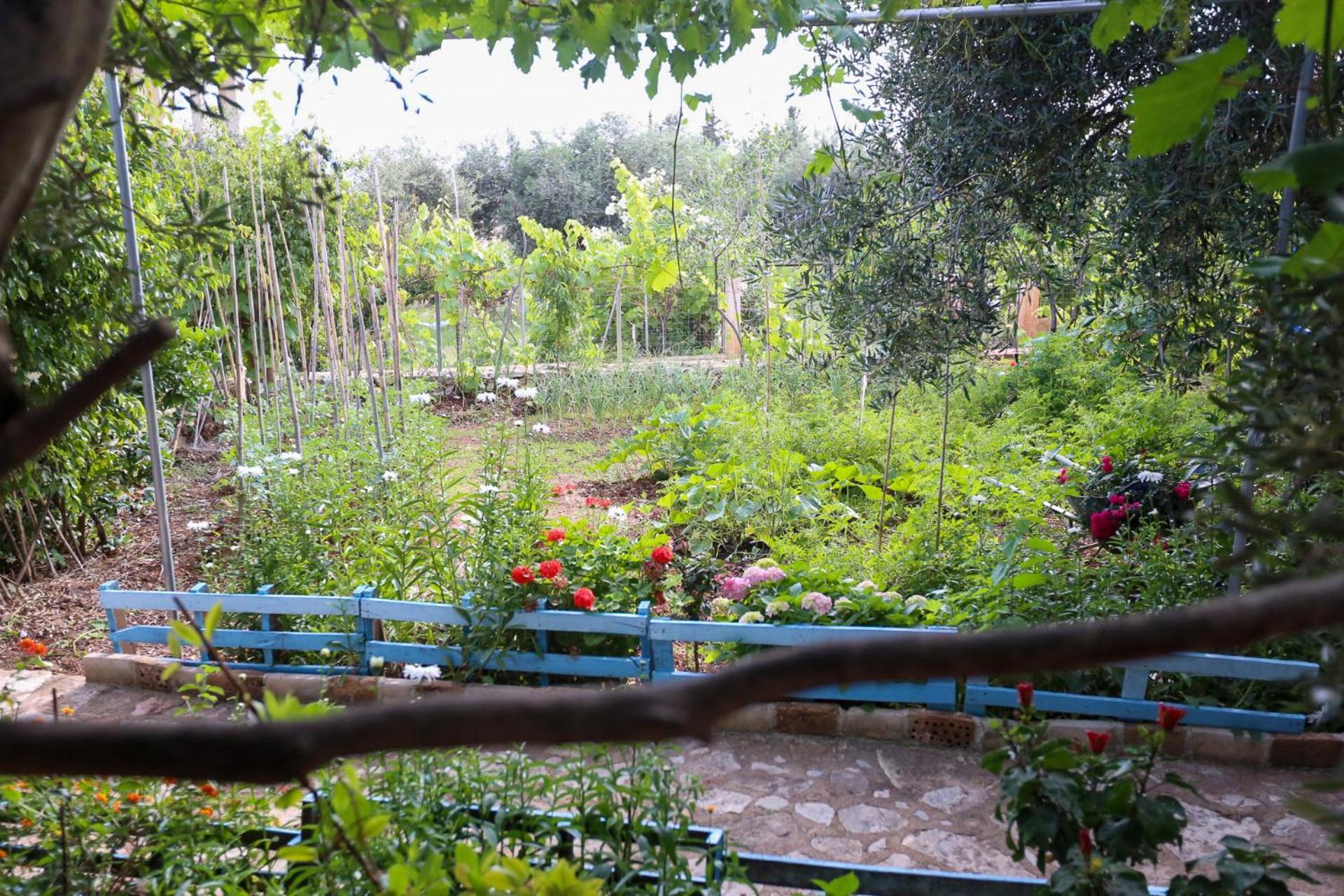 Holiwood Μοτέλ Χειμάρρα Εξωτερικό φωτογραφία