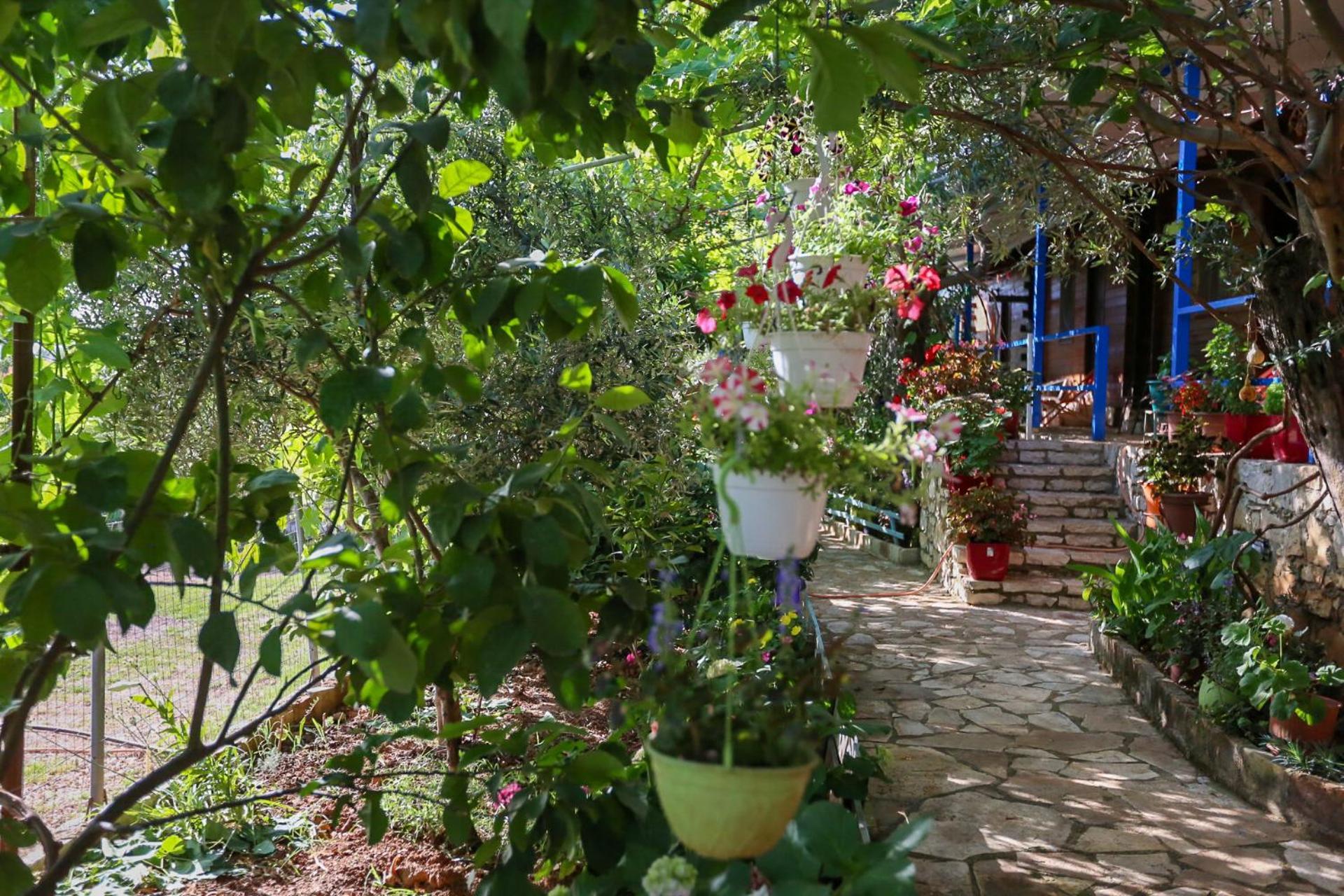 Holiwood Μοτέλ Χειμάρρα Εξωτερικό φωτογραφία