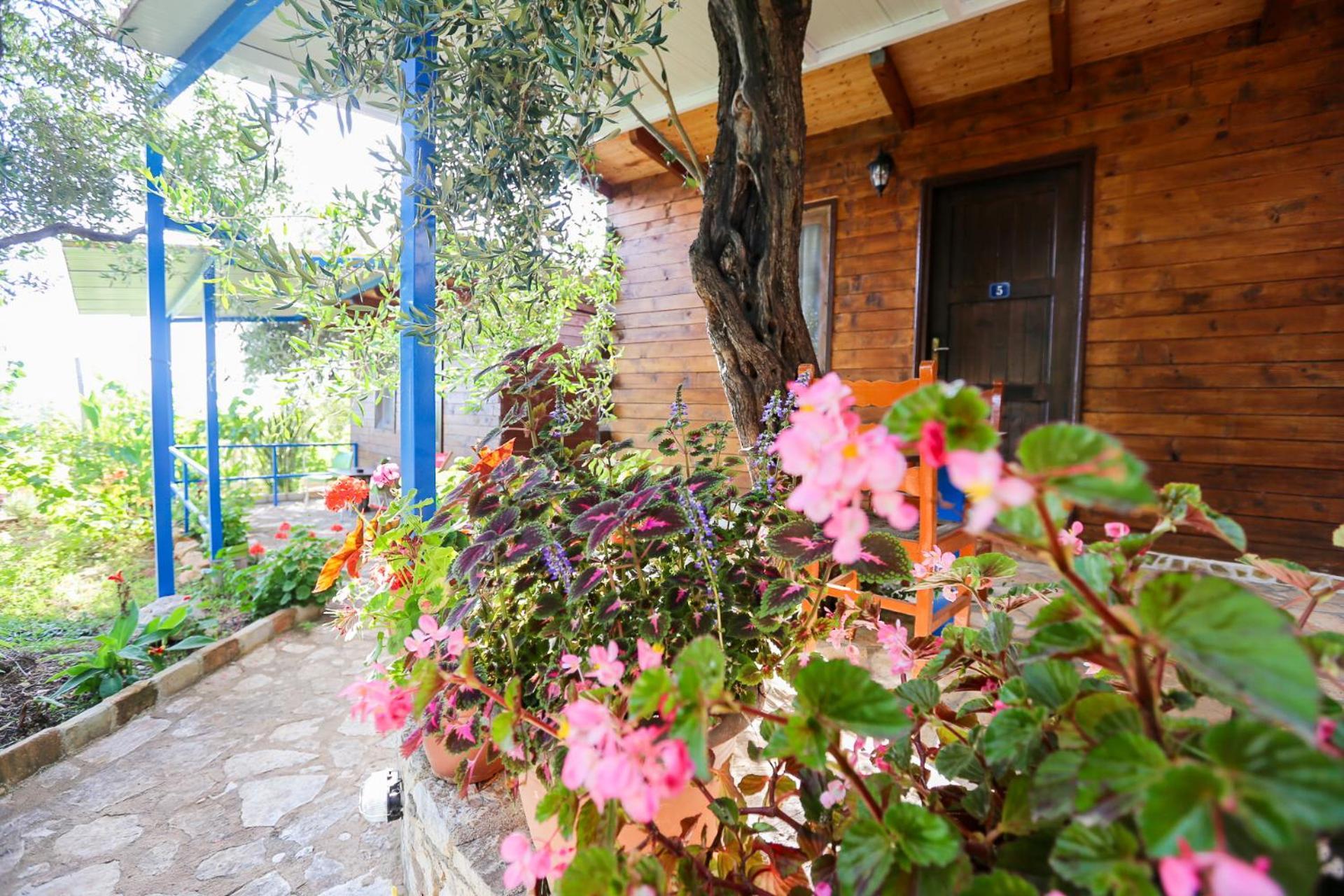 Holiwood Μοτέλ Χειμάρρα Εξωτερικό φωτογραφία