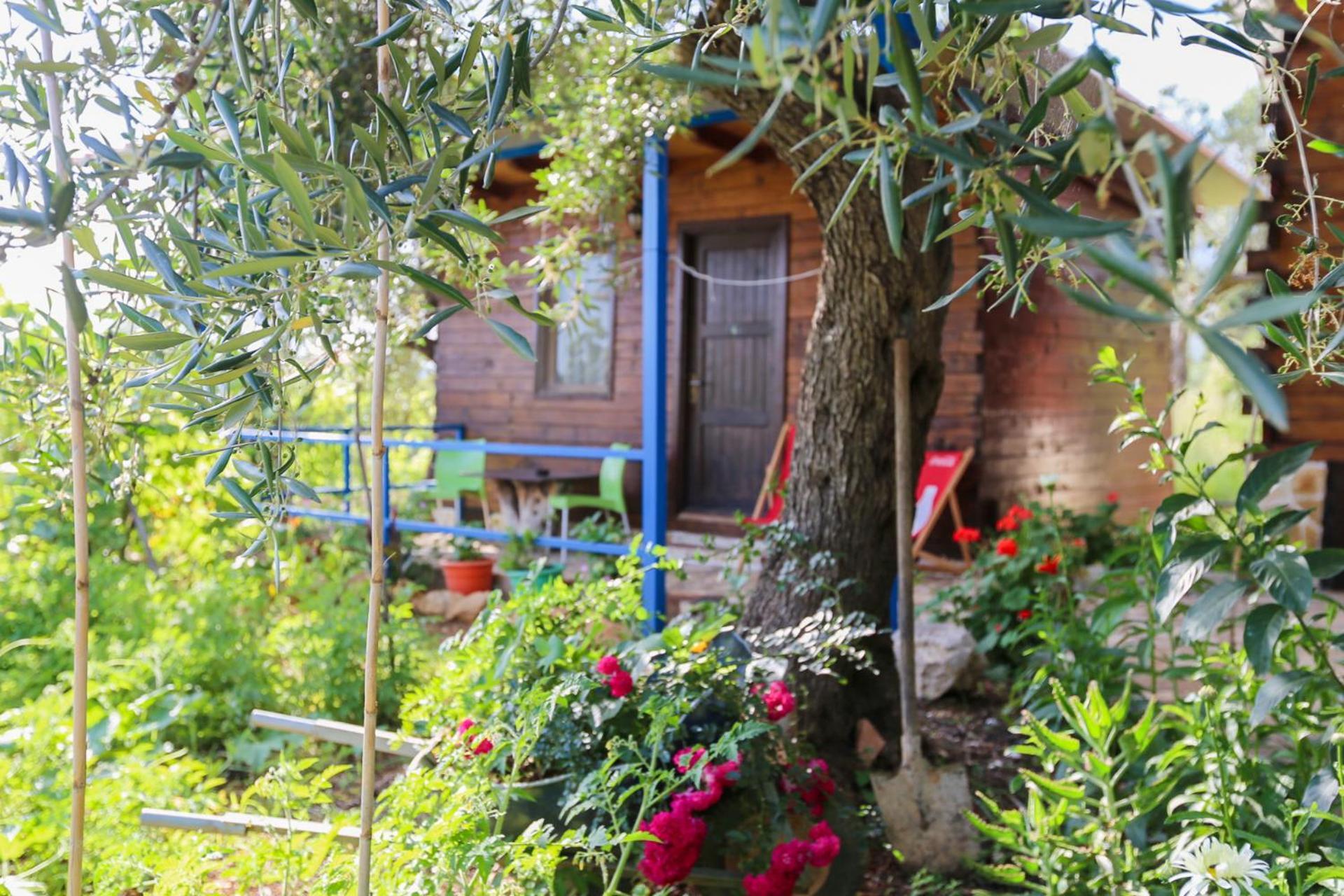 Holiwood Μοτέλ Χειμάρρα Εξωτερικό φωτογραφία