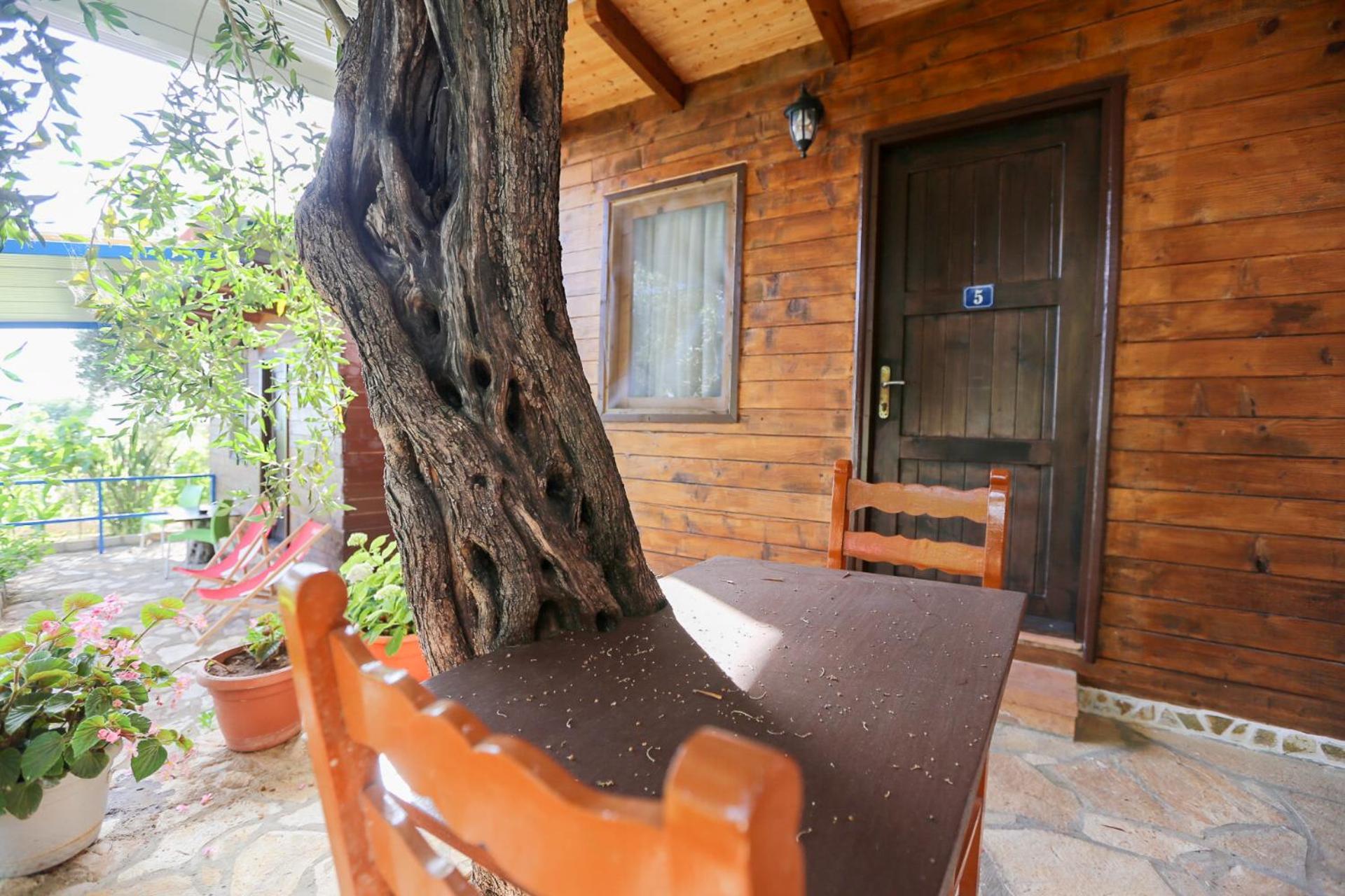Holiwood Μοτέλ Χειμάρρα Εξωτερικό φωτογραφία