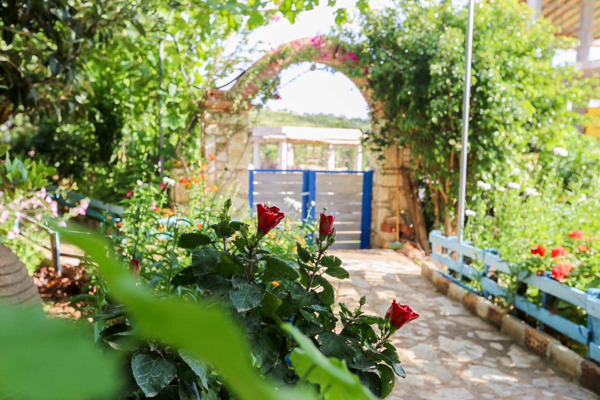 Holiwood Μοτέλ Χειμάρρα Εξωτερικό φωτογραφία