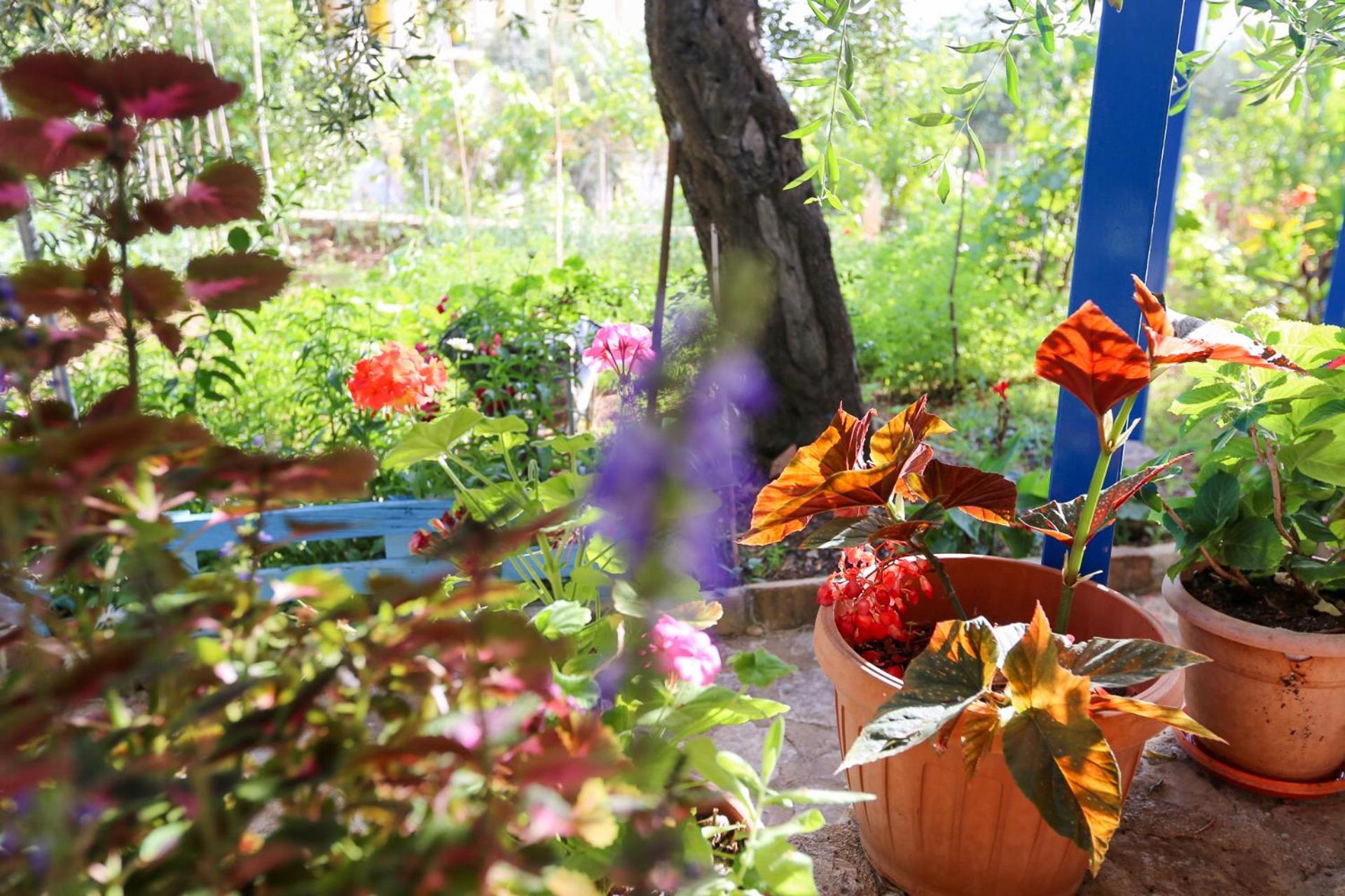 Holiwood Μοτέλ Χειμάρρα Εξωτερικό φωτογραφία