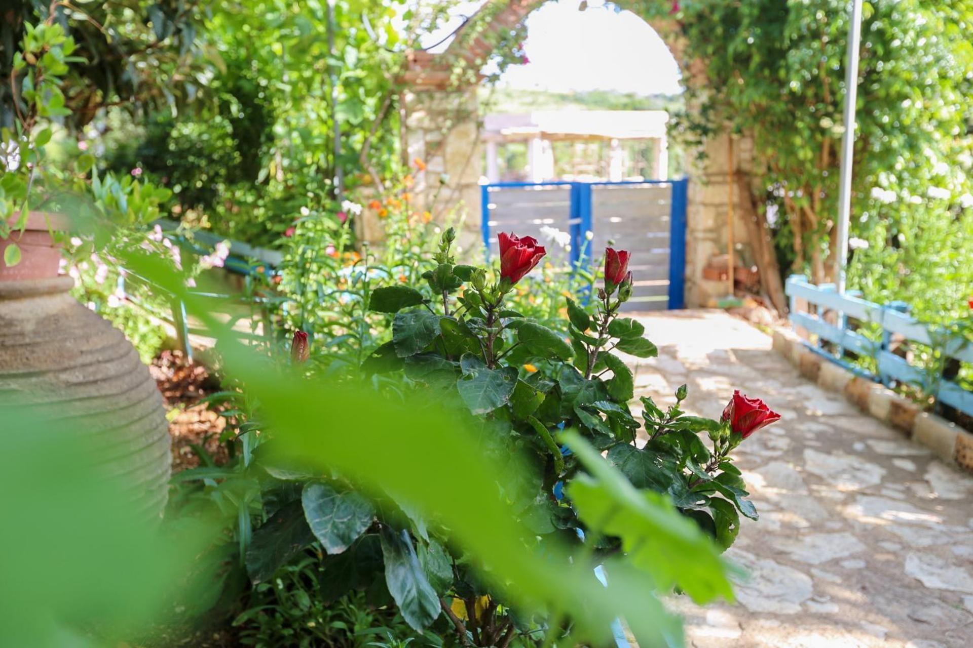 Holiwood Μοτέλ Χειμάρρα Εξωτερικό φωτογραφία