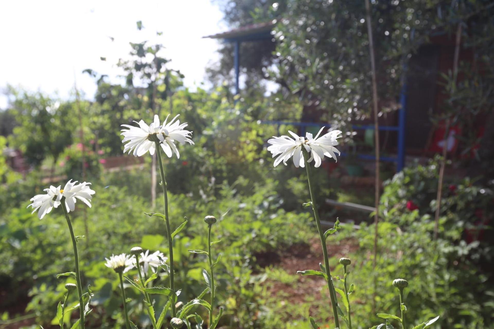 Holiwood Μοτέλ Χειμάρρα Εξωτερικό φωτογραφία