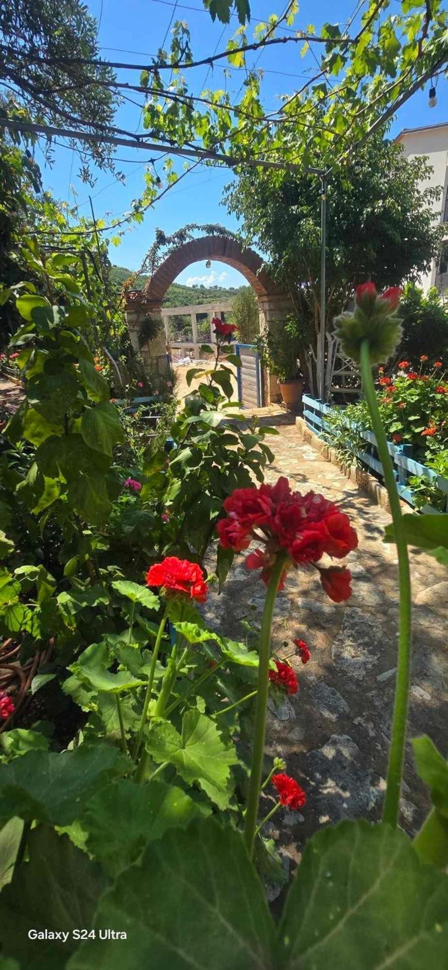 Holiwood Μοτέλ Χειμάρρα Εξωτερικό φωτογραφία