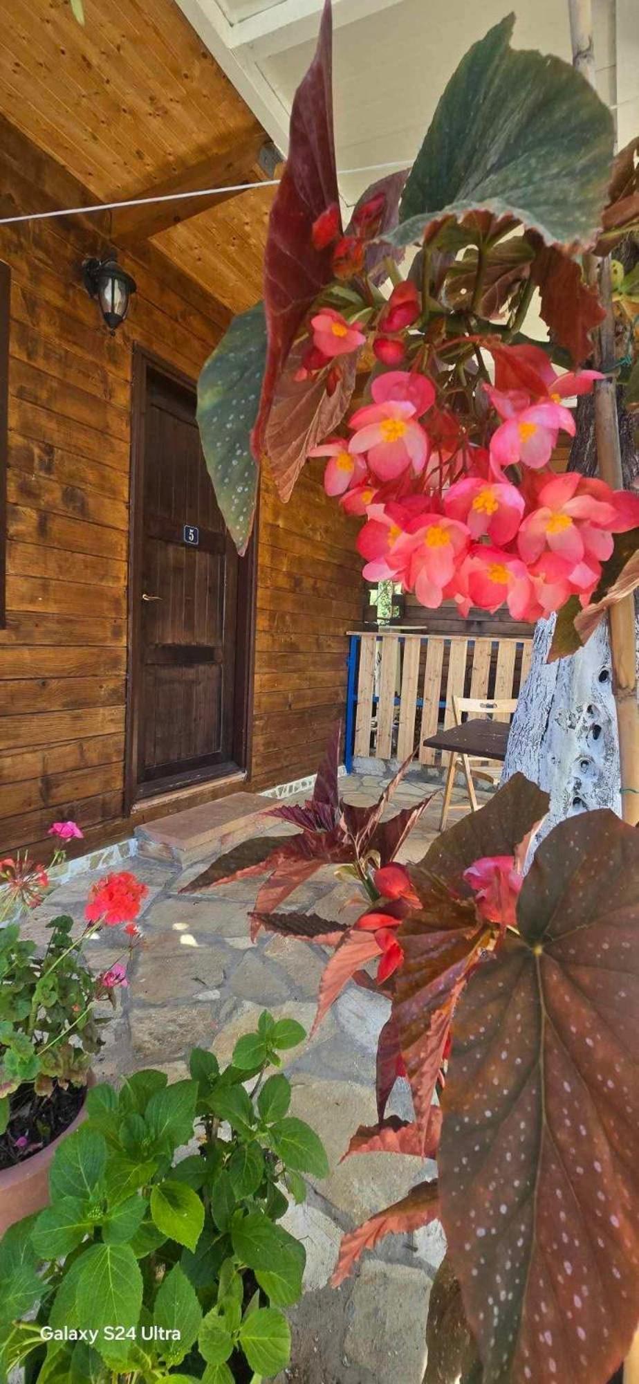 Holiwood Μοτέλ Χειμάρρα Εξωτερικό φωτογραφία