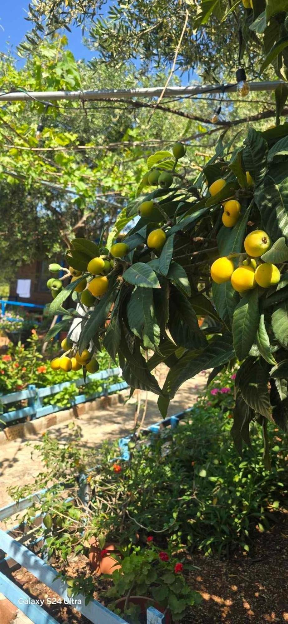 Holiwood Μοτέλ Χειμάρρα Εξωτερικό φωτογραφία