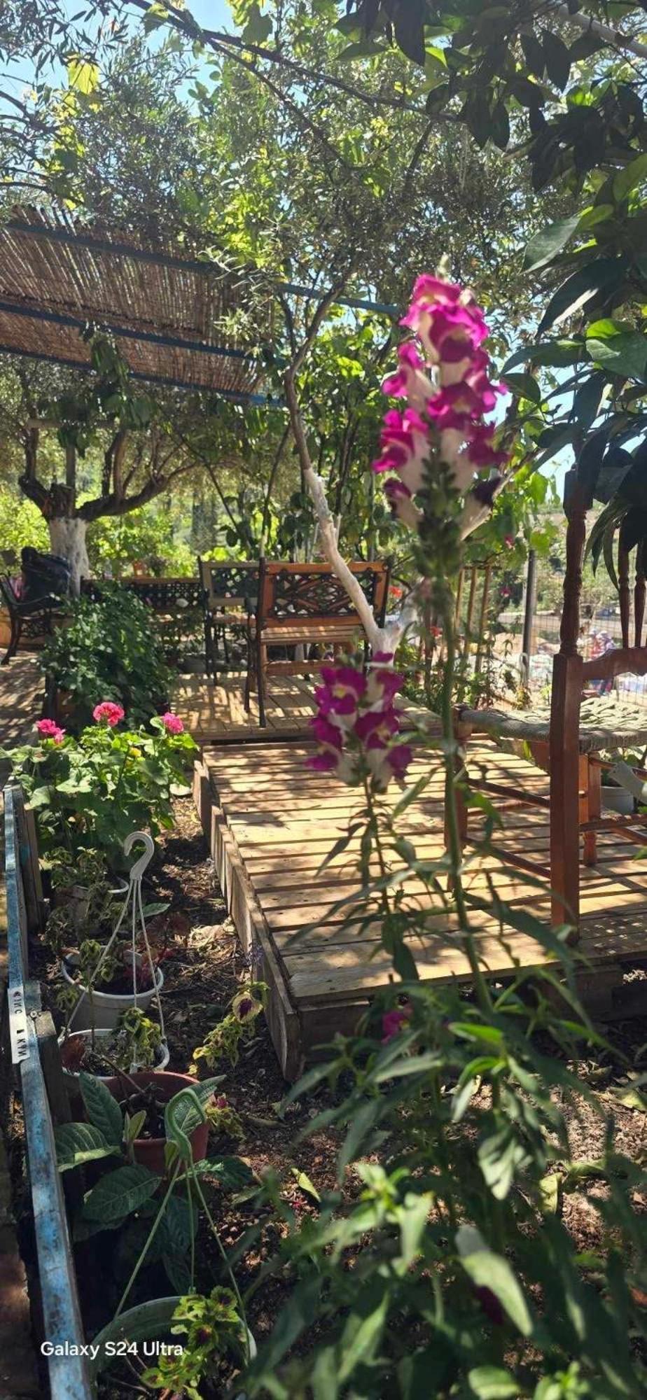 Holiwood Μοτέλ Χειμάρρα Εξωτερικό φωτογραφία