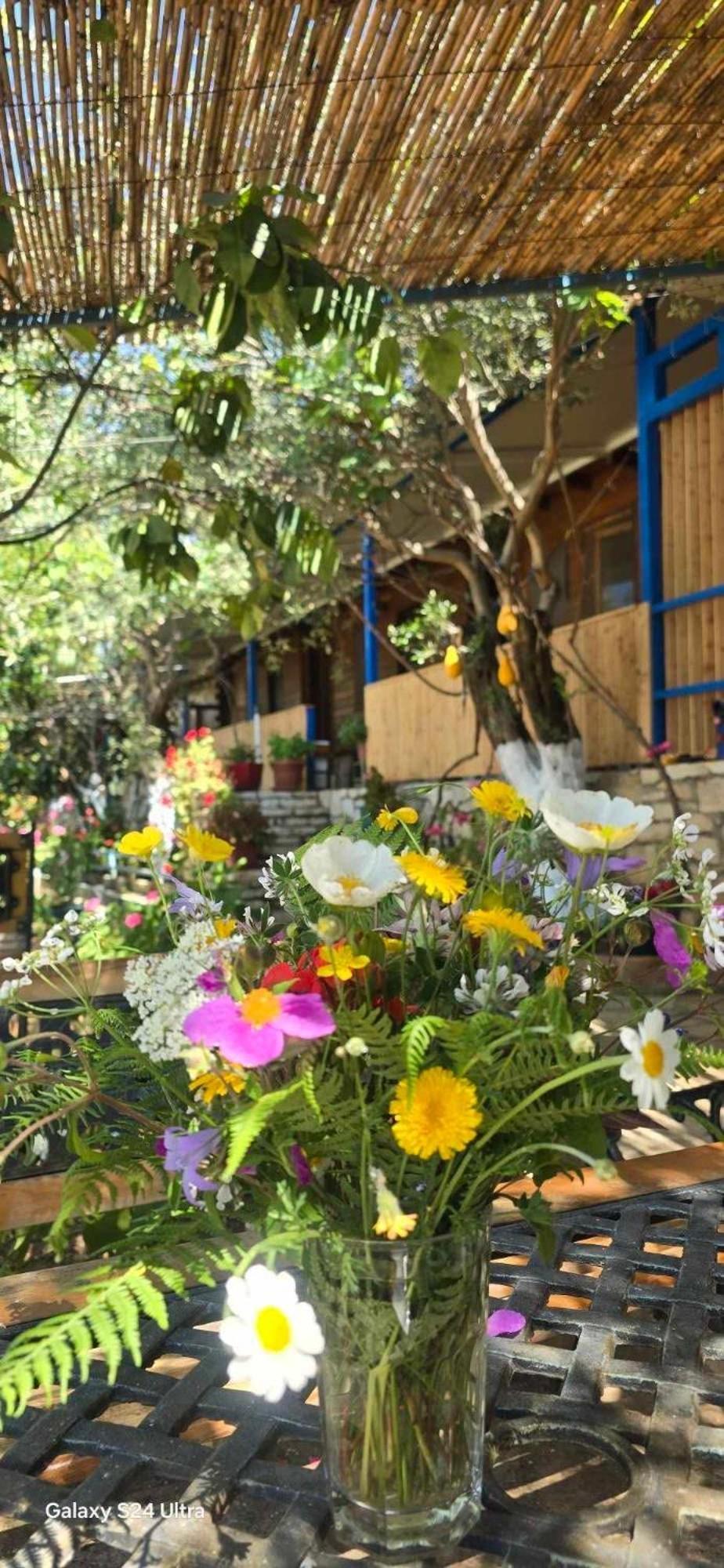 Holiwood Μοτέλ Χειμάρρα Εξωτερικό φωτογραφία