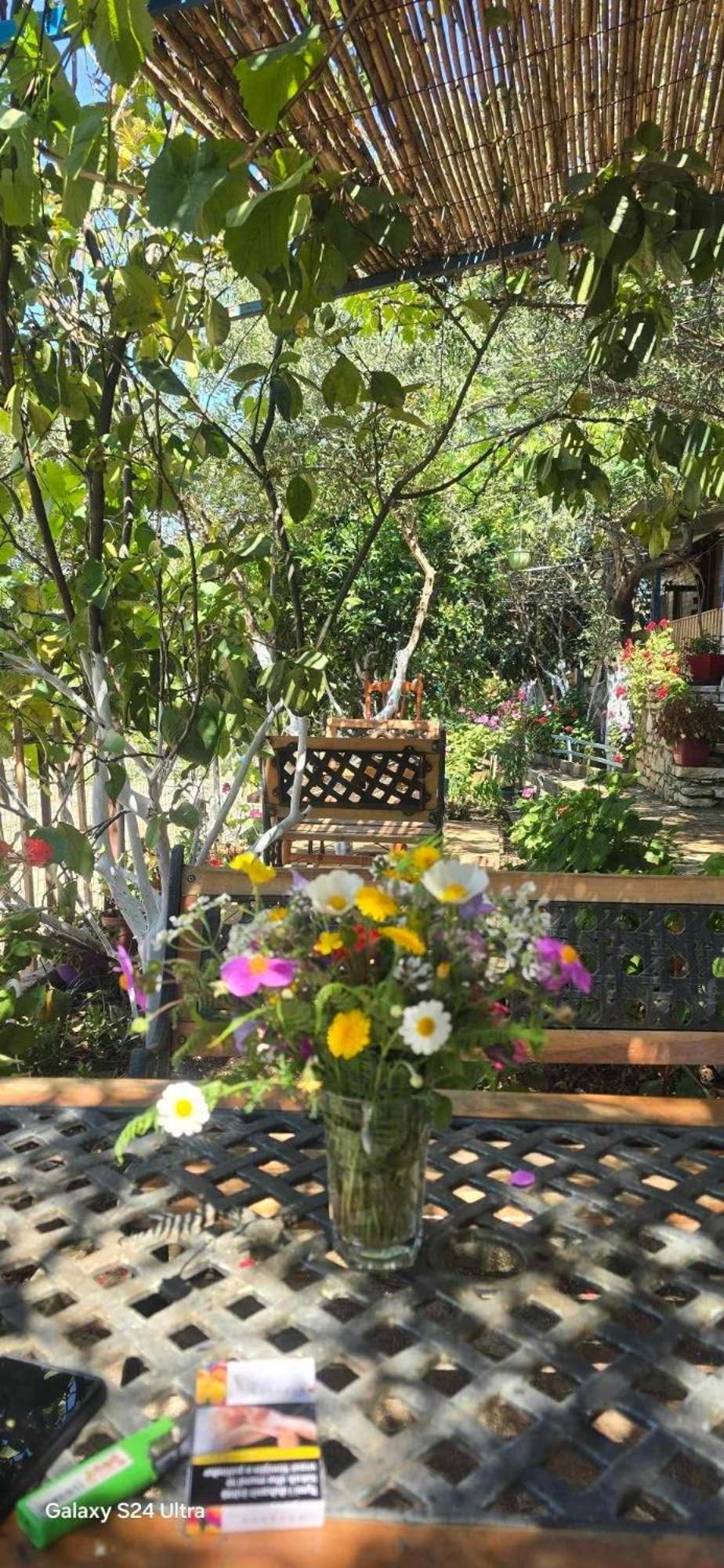 Holiwood Μοτέλ Χειμάρρα Εξωτερικό φωτογραφία