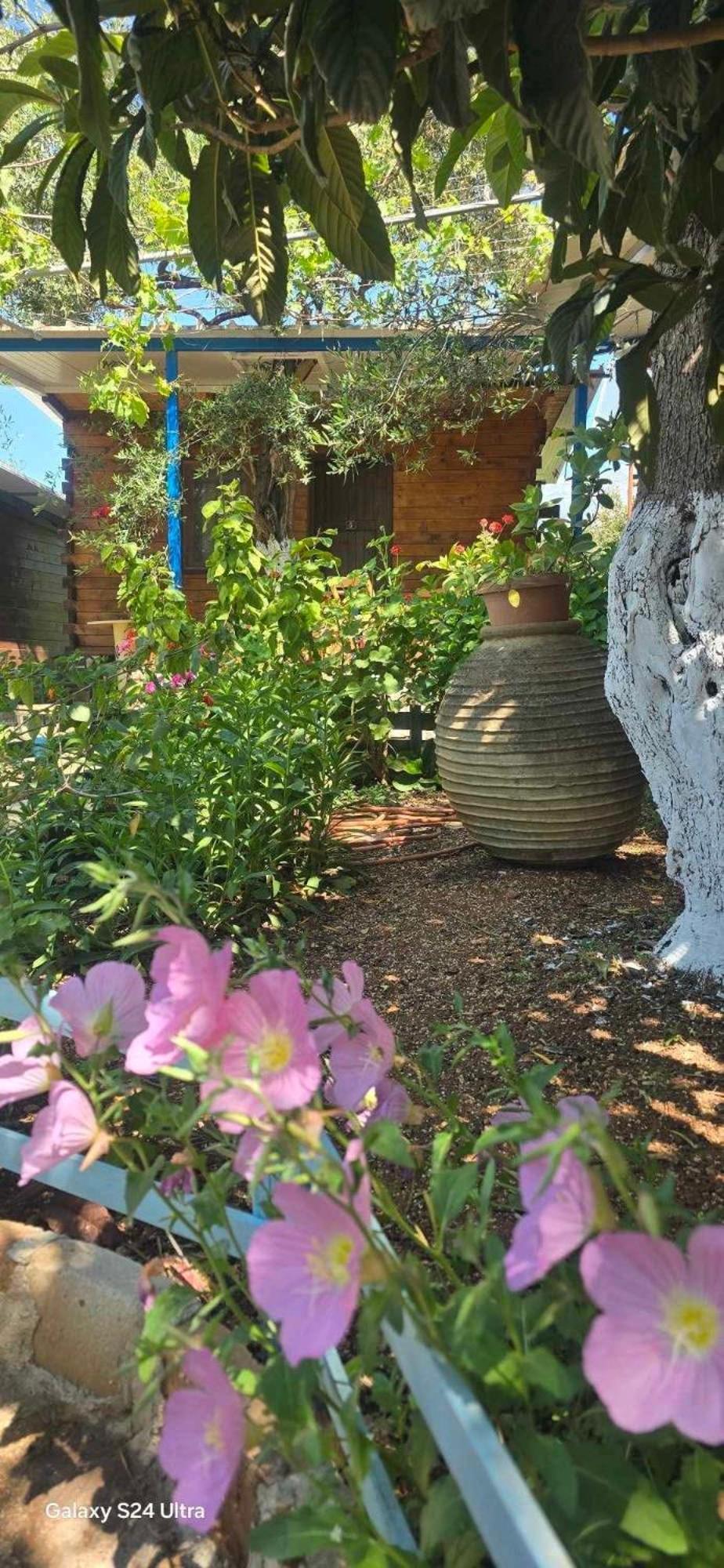 Holiwood Μοτέλ Χειμάρρα Εξωτερικό φωτογραφία